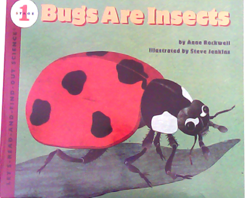 Bugs Are Insects